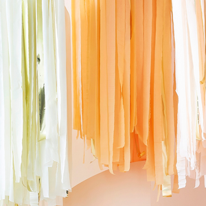 Peach and Gold Streamer Ceiling Decoration - Ellie and Piper