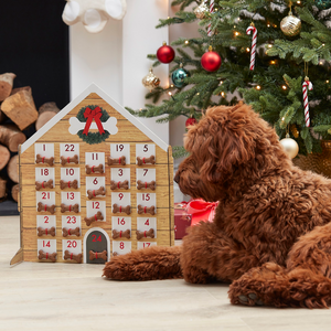 Fill Your Own Dog Advent Calendar - Ellie and Piper