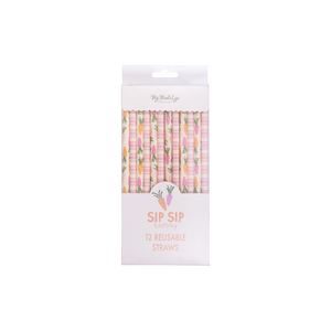 Carrots and Stripes Reusable Straws - Ellie and Piper