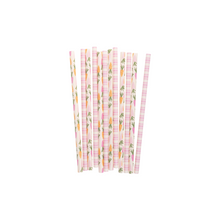 Carrots and Stripes Reusable Straws - Ellie and Piper