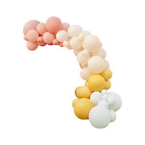 Muted Pastel Balloon Arch Kit - Ellie and Piper