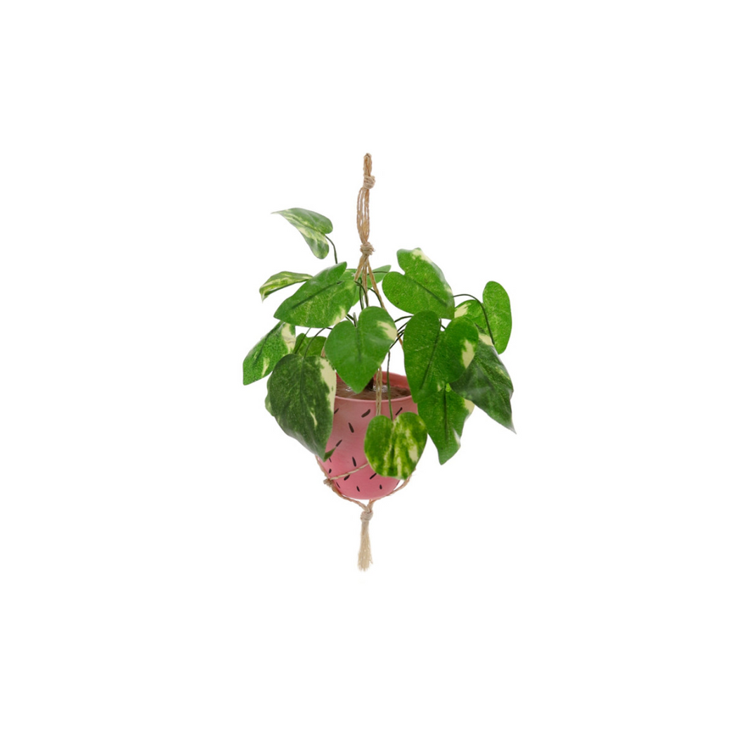 Pink Hanging Plant Ornament - Ellie and Piper