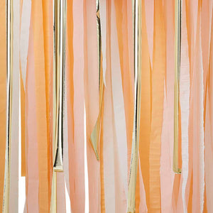 Peach and Gold Party Streamers Backdrop - Ellie and Piper