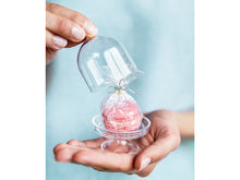Mini Cake Domes (Set of 3) - Ellie and Piper